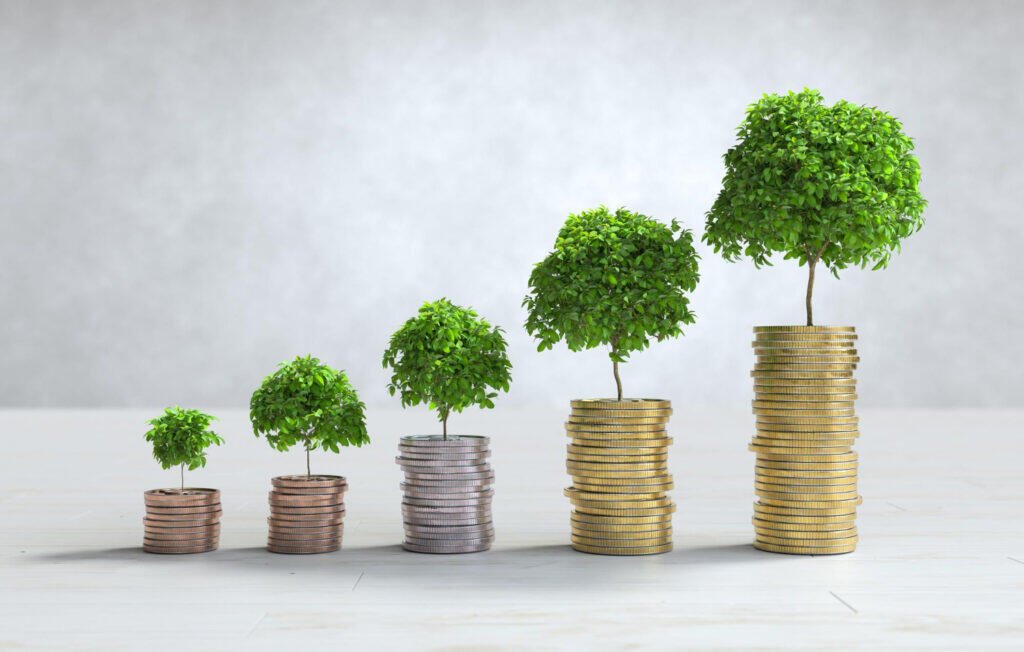 Growing trees atop stacks of coins, illustrating financial growth and wealth management.